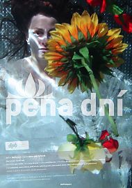 Pna dn
