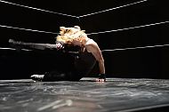 ONE STEP BEFORE THE FALL
